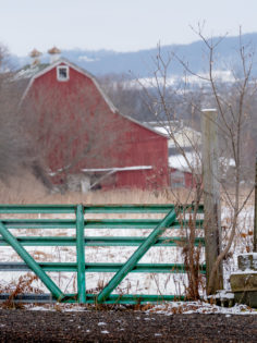Green gate and barn