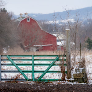 Green gate and barn