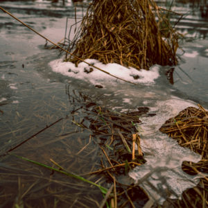 water and hay see through