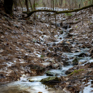 Roy Park Water Trickle